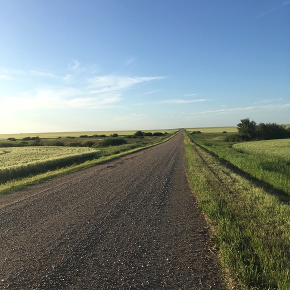 Meet your Posher, Chelsea - Picture 1 of 1